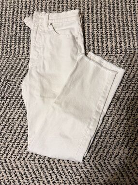 Madewell the Perfect Vintage Jean